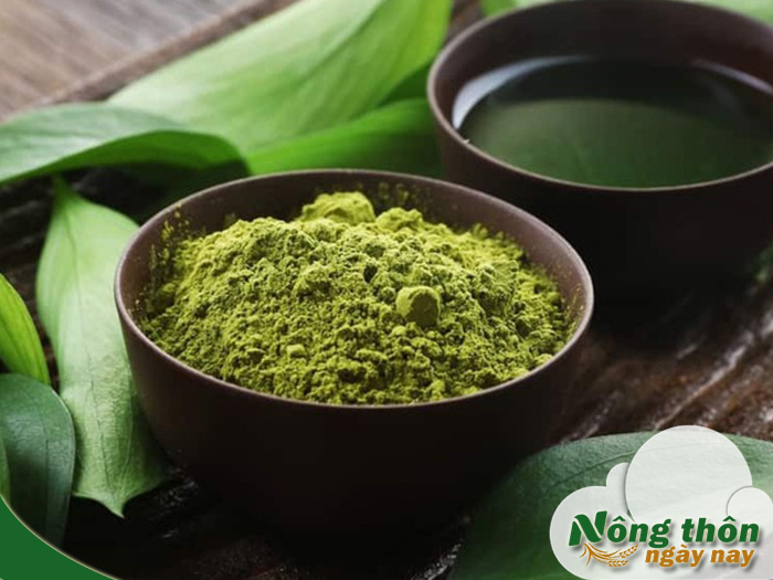 Bột trà xanh có tác dụng gì trong làm đẹp và giảm cân