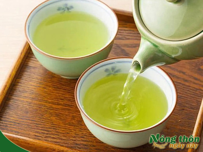 Cách nấu lá trà xanh tươi để uống không bị mất chất