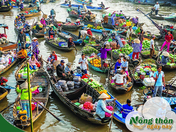 Chợ nổi là gì và nét độc đáo văn hóa sông nước miền Tây