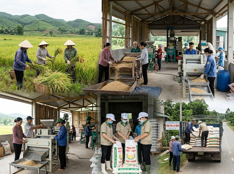 Cơ cấu ngành kinh tế nông thôn và các yếu tố định hình