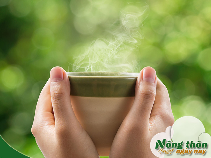 Công dụng của lá trà xanh tươi đối với sức khỏe và làm đẹp