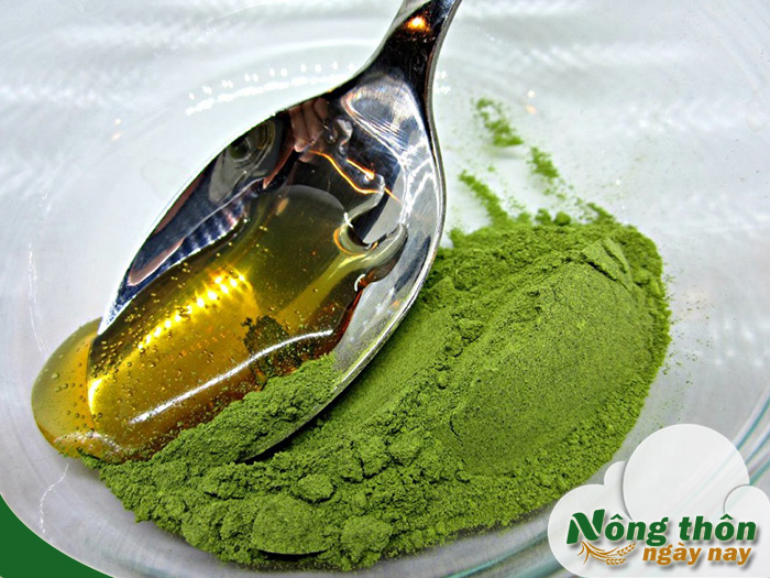 Công dụng của trà xanh mật ong giúp thanh lọc cơ thể mỗi ngày