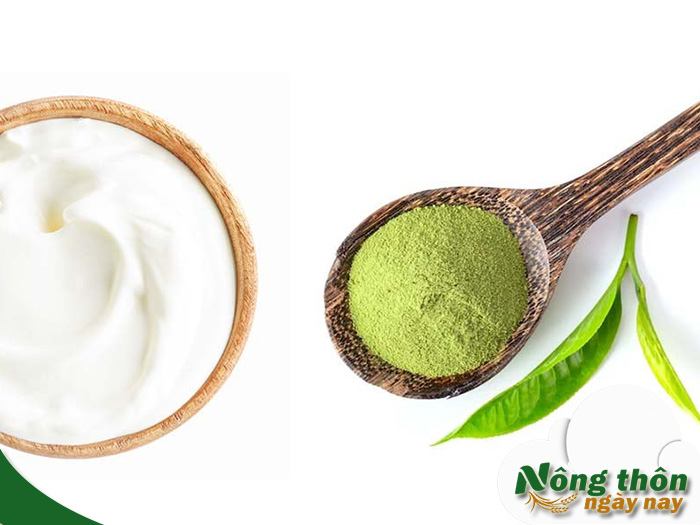 Công dụng mặt nạ trà xanh sữa chua giúp se khít lỗ chân lông