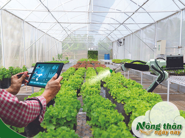 Công nghệ blockchain trong nông nghiệp là gì? Cách giúp nông sản minh bạch hơn