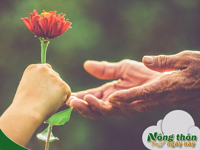 Đạo đức là gì? Nguyên tắc xây dựng con người tốt