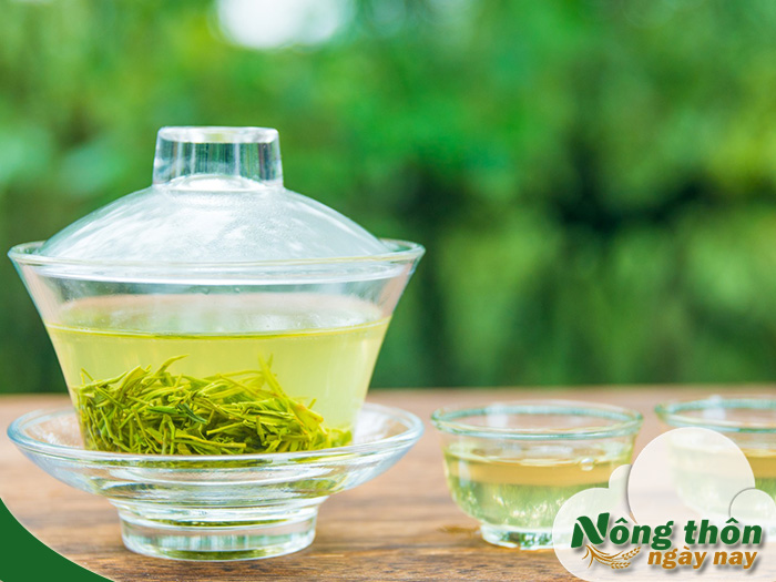 Lợi ích uống trà xanh mỗi ngày có thể bạn chưa biết