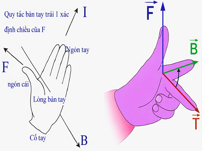 Lực từ trường là gì? công thức tính lực từ và ví dụ minh họa