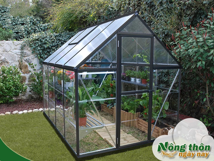 Mô hình nhà kính mini giải pháp trồng rau sạch tiết kiệm diện tích