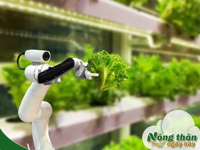 Mô hình nông trại thông minh kết hợp công nghệ để tăng năng suất và chất lượng