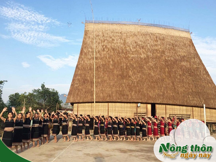 Nhà rông là gì và vai trò trong đời sống người Tây Nguyên
