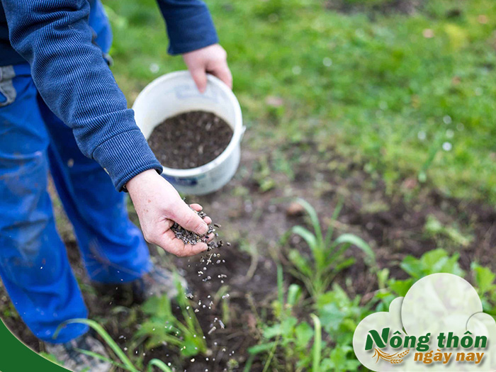 Phân bón hữu cơ là gì? Bí quyết giúp cây khỏe mạnh tự nhiên