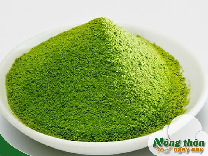 Tác dụng của bột trà xanh đối với da mặt mụn