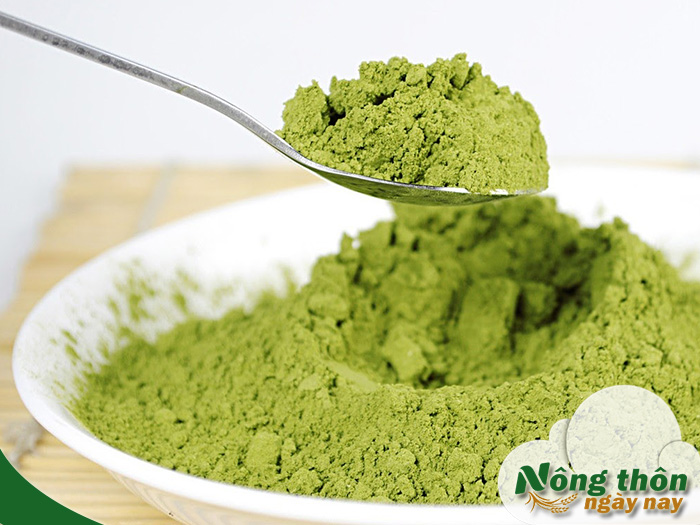 Tác dụng của bột trà xanh matcha Nhật Bản khi uống mỗi ngày