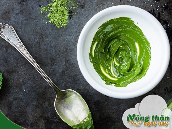Tác dụng của bột trà xanh với mật ong cho làn da khỏe mạnh
