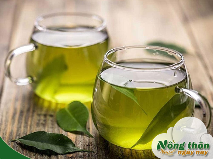 Tác dụng của nước trà xanh tươi đối với tiêu hóa