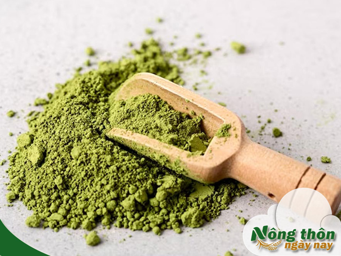 Tác dụng của trà xanh đối với da mụn viêm