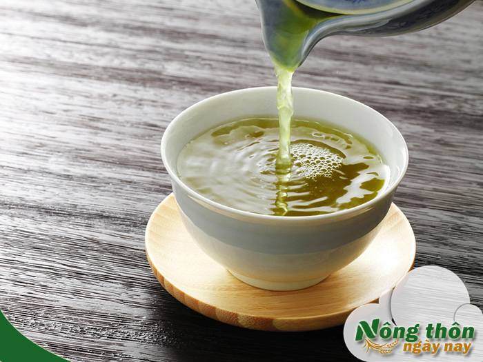 Tác dụng của trà xanh đối với sức khỏe lâu dài