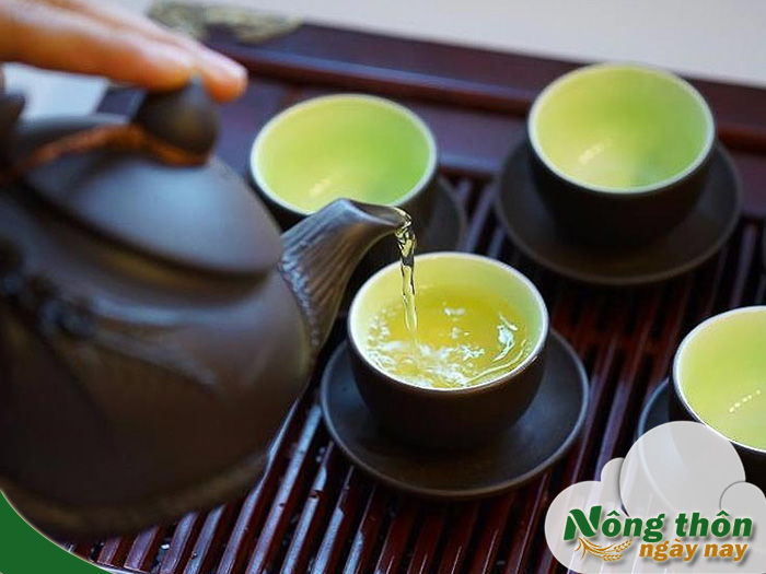 Tác dụng của trà xanh khô pha uống mỗi ngày