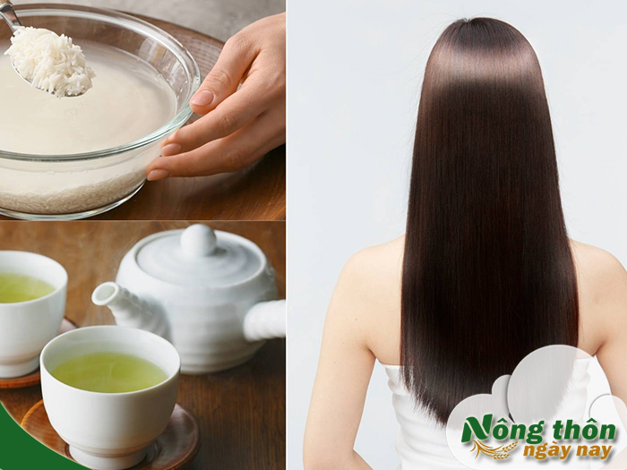 Tác dụng của trà xanh với tóc theo kinh nghiệm dân gian