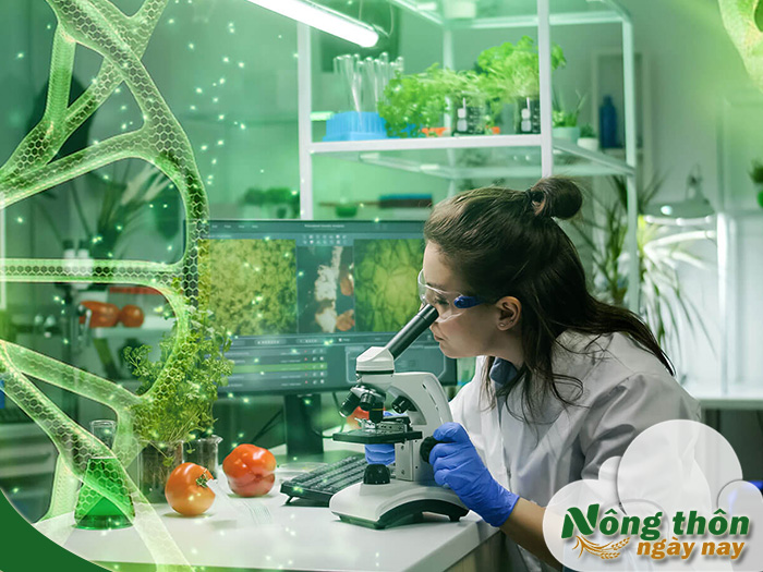 Thuốc trừ sâu sinh học là gì? Giải pháp an toàn bảo vệ cây trồng và sức khỏe