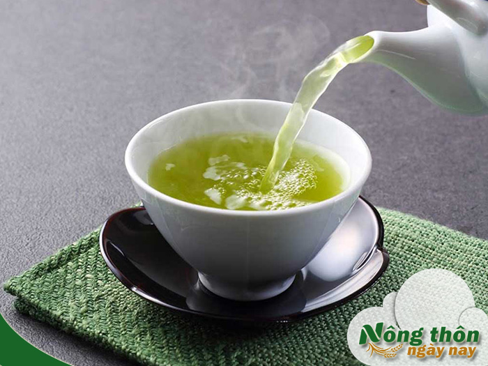 Trà xanh là gì? Công dụng và lợi ích cho sức khỏe tự nhiên