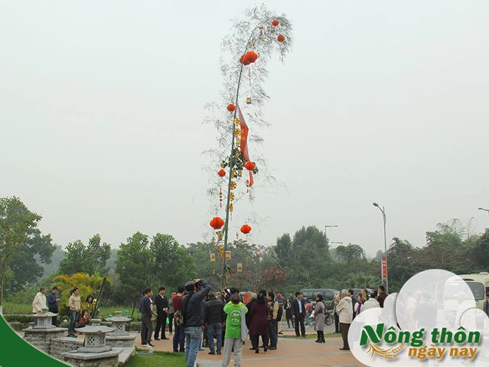 Tục dựng cây nêu ngày Tết và ý nghĩa xua đuổi tà khí