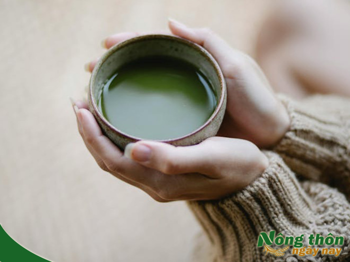 Hàng ngày uống bột trà xanh có giảm cân không?