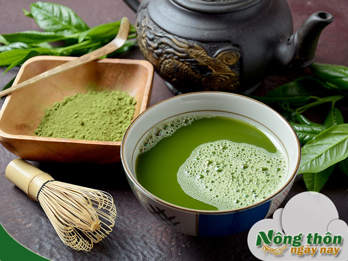 Uống bột trà xanh matcha có tốt không? Liều lượng bao nhiêu