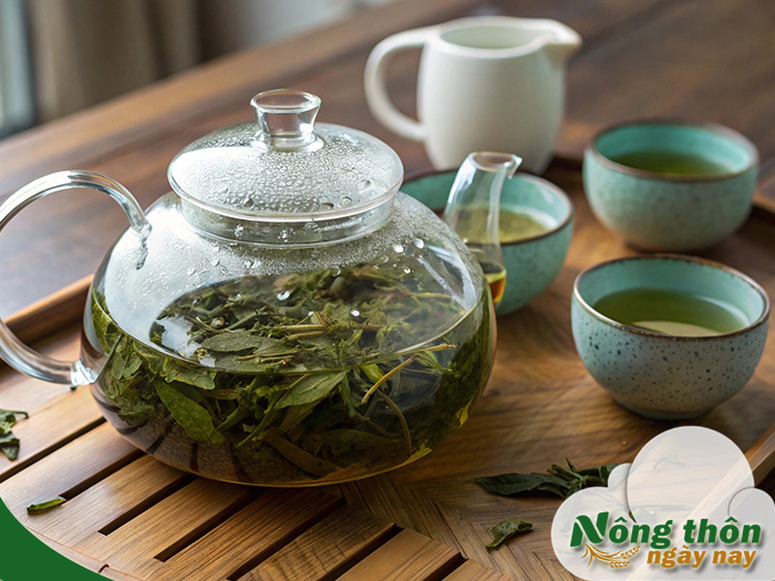 Uống trà xanh có giảm huyết áp không? Bác sĩ tim mạch khuyên gì