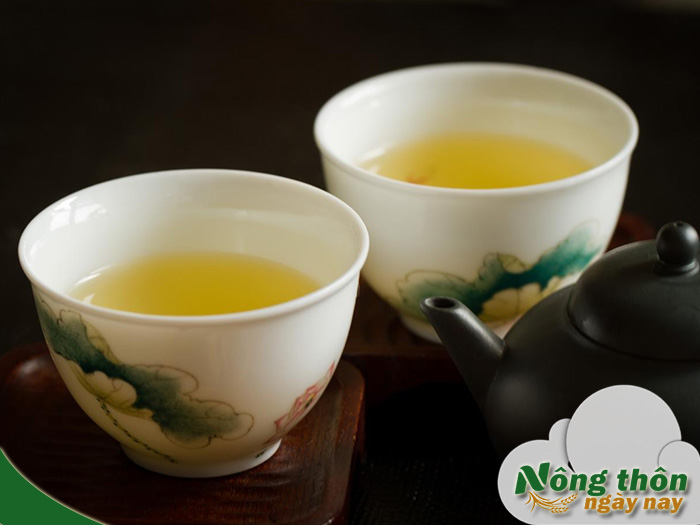 Uống trà xanh có giảm mỡ bụng không? Cơ chế đốt mỡ như nào