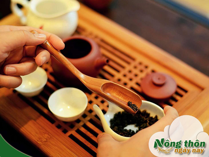 Uống trà xanh có giảm mỡ máu không? Giới hạn dùng mỗi ngày