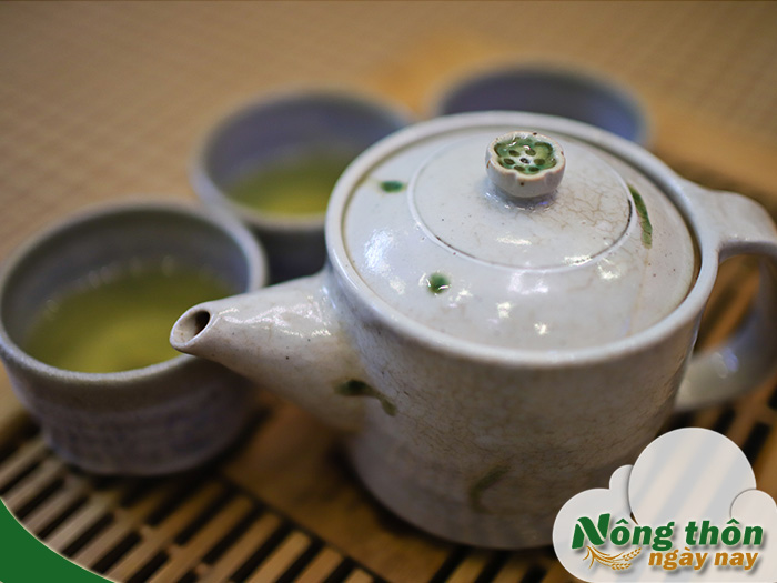 Uống trà xanh có hại thận không? Những sai lầm phổ biến khi dùng