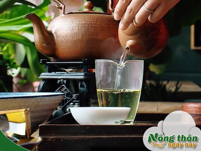 Uống trà xanh có tăng huyết áp không? Khi nào nên hạn chế dùng