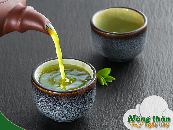 Uống trà xanh mỗi ngày có giảm cân hiệu quả không