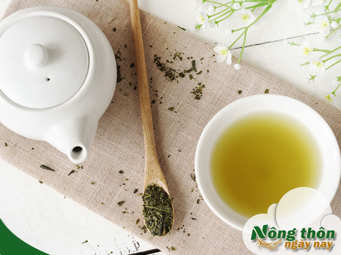Uống trà xanh nhiều có tốt không và những tác dụng phụ cần biết