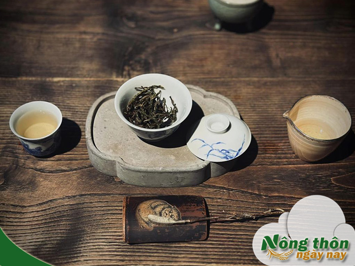 Uống trà xanh thay nước có tốt không? Chuyên gia nói gì
