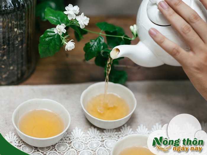 Uống trà xanh tươi mỗi ngày có tốt cho sức khỏe không
