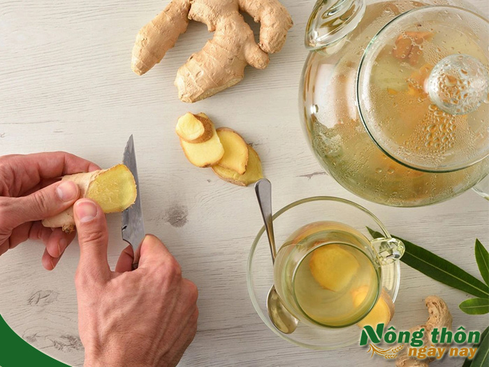 Thực tế những người uống trà xanh với gừng có giảm cân không?