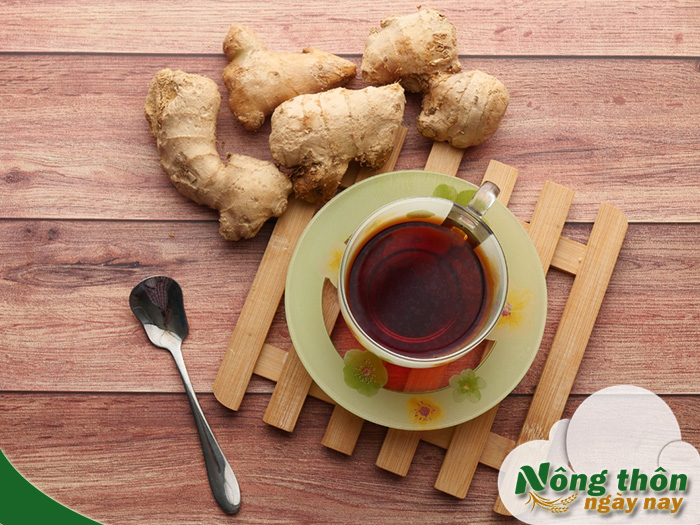 Uống trà xanh với gừng có tác dụng gì cho tiêu hóa