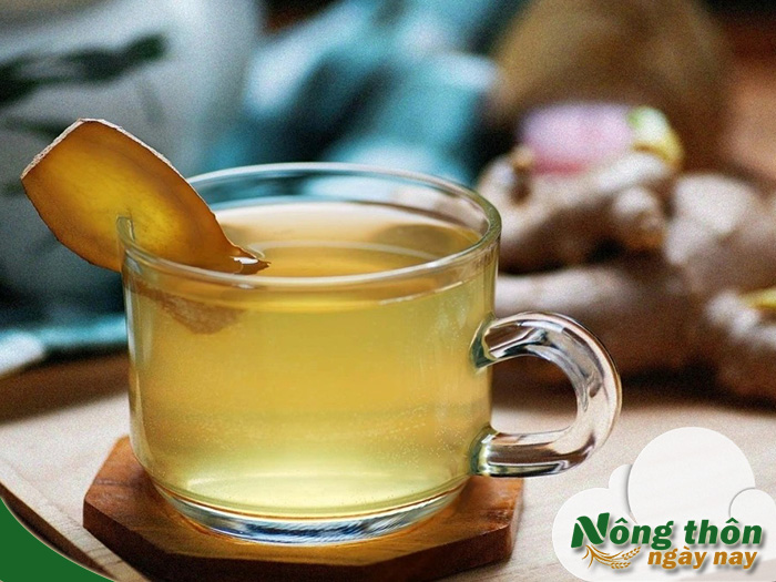 Uống trà xanh với gừng có tốt không? Lợi ích theo y học cổ truyền