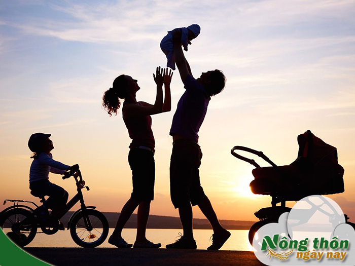 Vai trò của gia đình trong xã hội nhằm gắn kết cá nhân và cộng đồng