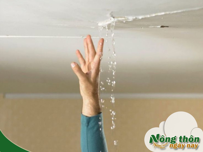 Cách xử lý ống nước bị rò rỉ trong tường nhà hiệu quả nhất