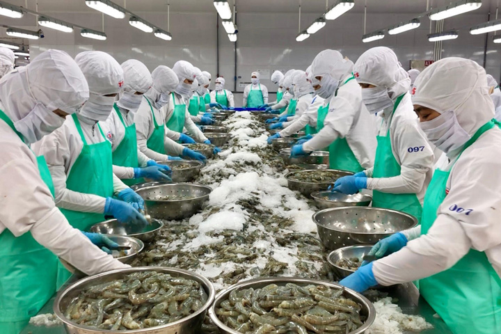 Xuất khẩu thủy sản nửa cuối năm đối mặt nhiều thách thức khó lường