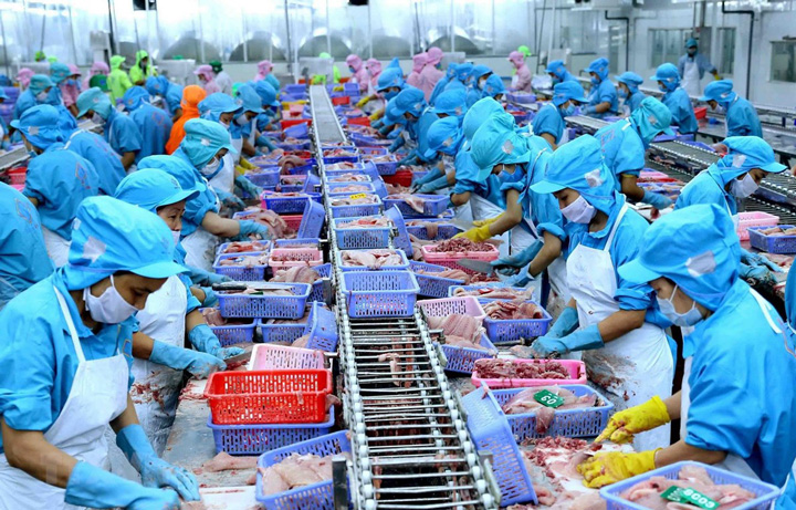Xuất khẩu thủy sản nửa cuối năm đối mặt nhiều thách thức khó lường