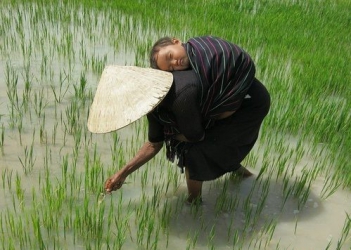 Phân tích bài thơ Viết Bắc của Tố Hữu - Nông Thôn ngày nay