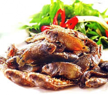 Câu cá rô và tôm tích ngày nay - Nông Thôn ngày nay