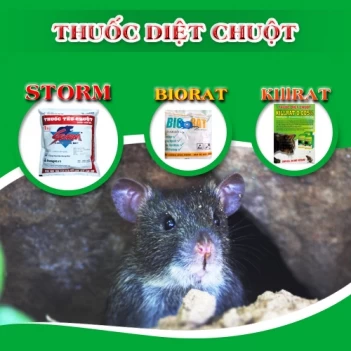 Cách làm bẫy chuột tại nhà rất đơn giản - Nông Thôn ngày nay