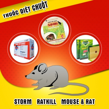 Hành trình gian nan tìm cách diệt chuột của một tiệm tạp hóa - Nông Thôn ngày nay
