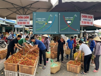 Vì sao biến động cung thị trường xảy ra?
