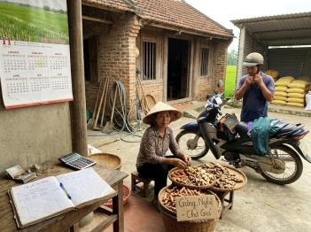 Nguyên nhân biến động thu nhập nông thôn thường đến từ đâu?